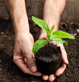 Etre éco-responsable et faire des économies, c'est possible !